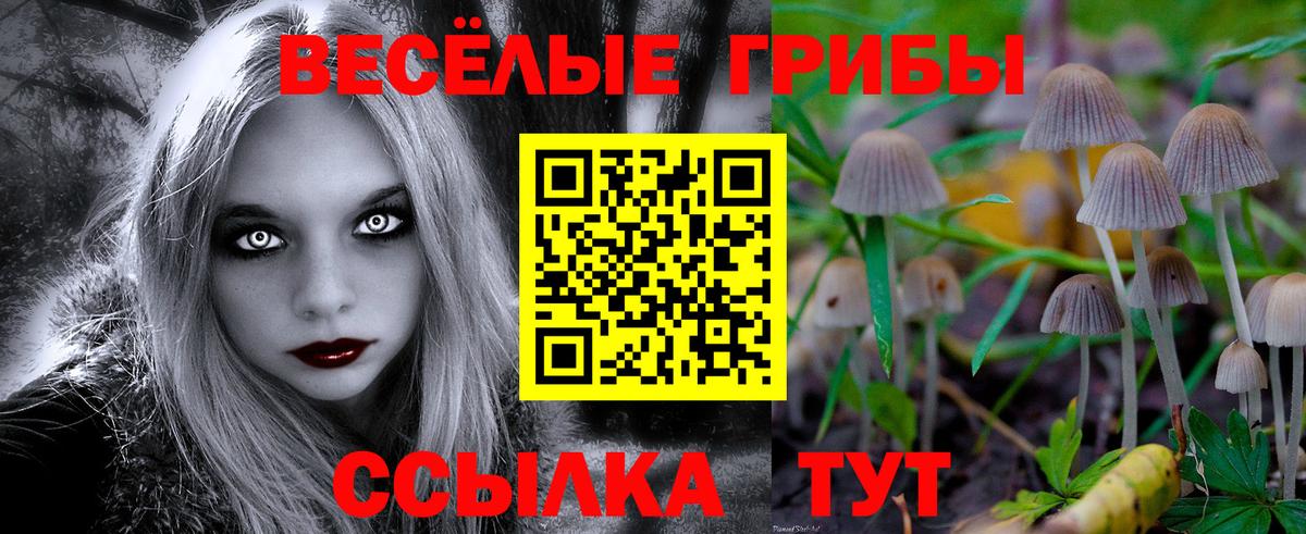 Электрогорск  Псилоцибиновые грибы прущие грибы  Вход с VPN 
